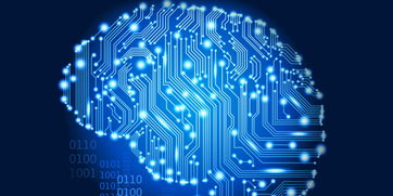 網(wǎng)新恒天軟件 專業(yè)軟件外包服務(wù)，助力金融行業(yè)創(chuàng)新發(fā)展