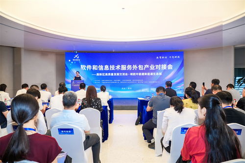 雄安高新區(qū)成功舉辦軟件和信息技術(shù)服務(wù)外包產(chǎn)業(yè)對(duì)接會(huì)，共筑產(chǎn)業(yè)新生態(tài)
